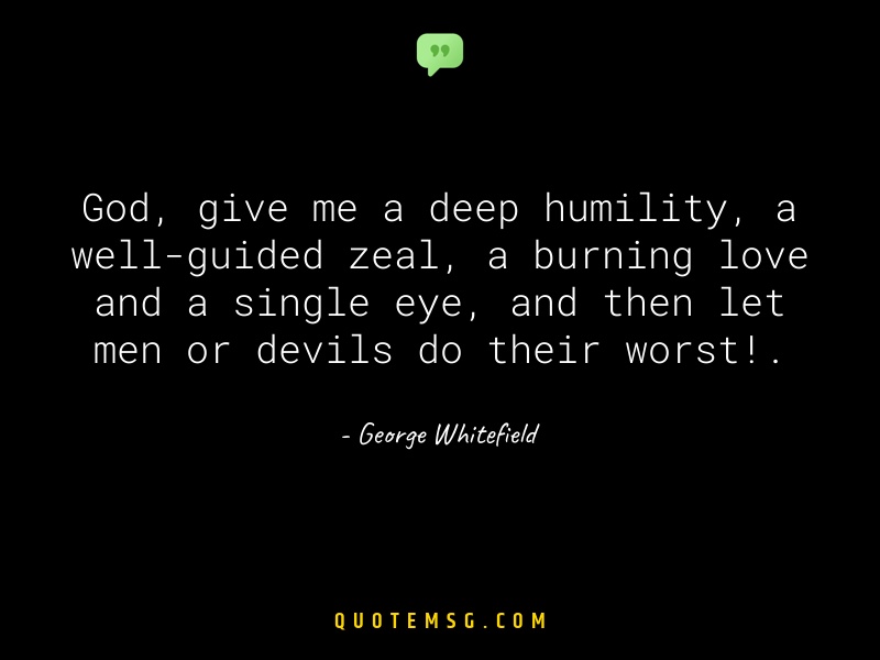 Image of George Whitefield