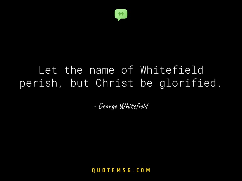 Image of George Whitefield