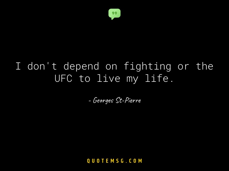 Image of Georges St-Pierre