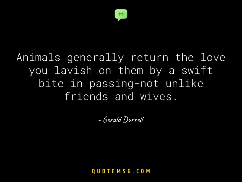 Image of Gerald Durrell