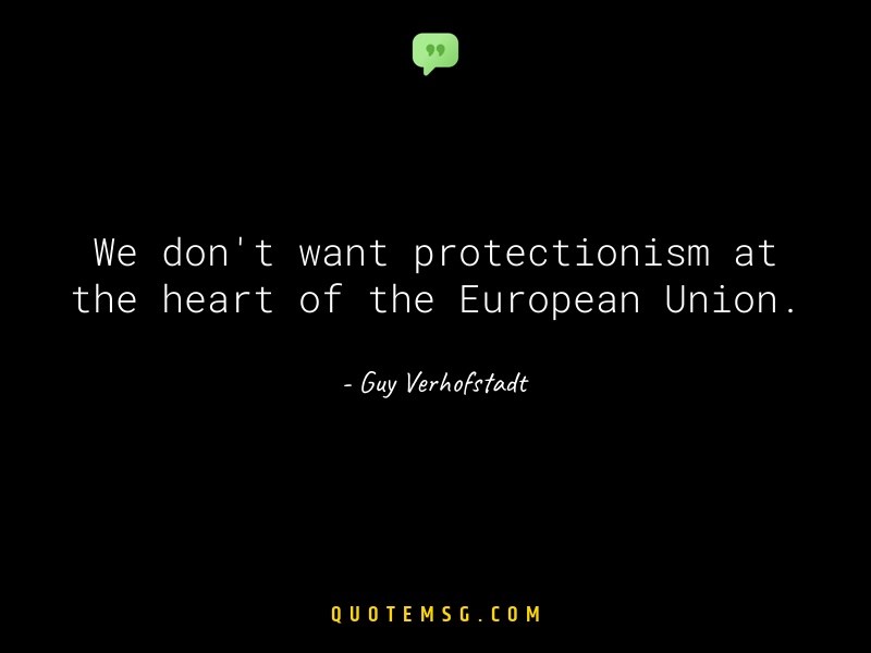 Image of Guy Verhofstadt