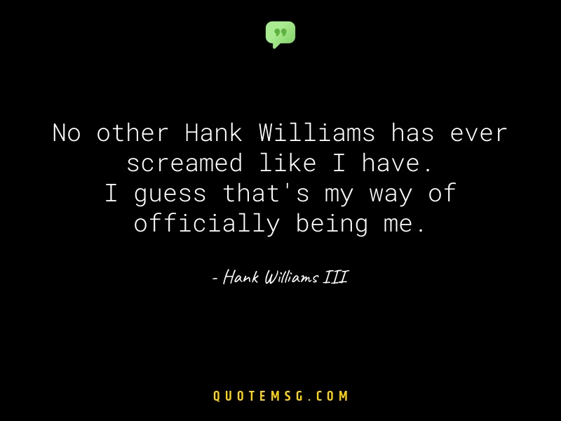 Image of Hank Williams III