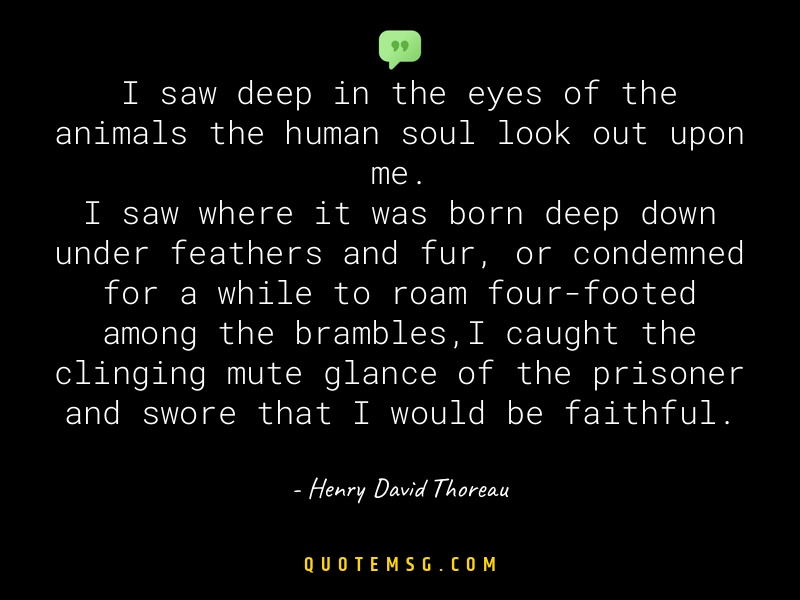 Image of Henry David Thoreau