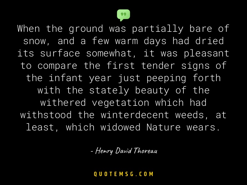 Image of Henry David Thoreau