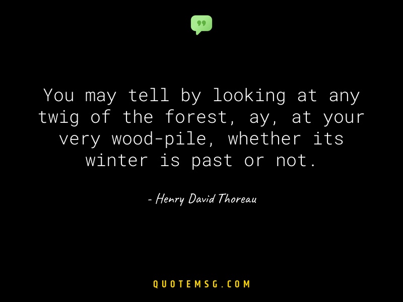 Image of Henry David Thoreau