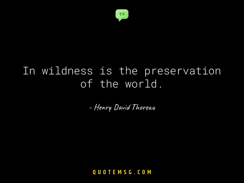 Image of Henry David Thoreau