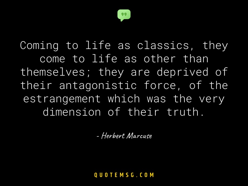 Image of Herbert Marcuse