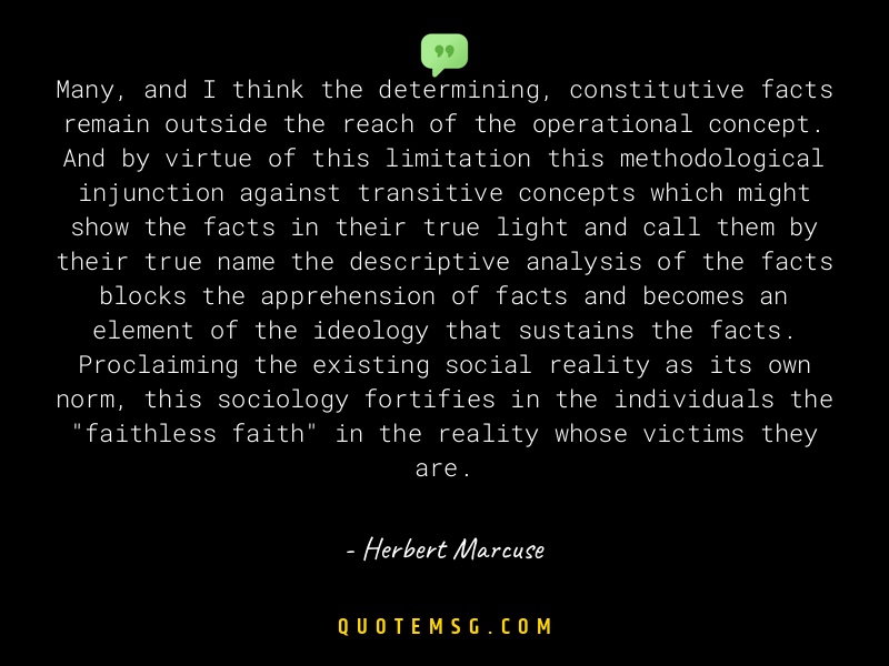 Image of Herbert Marcuse