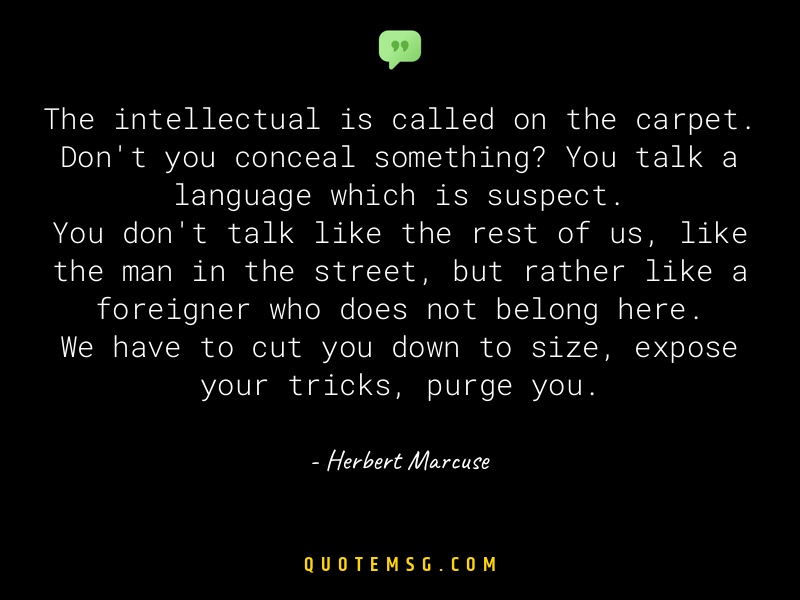 Image of Herbert Marcuse