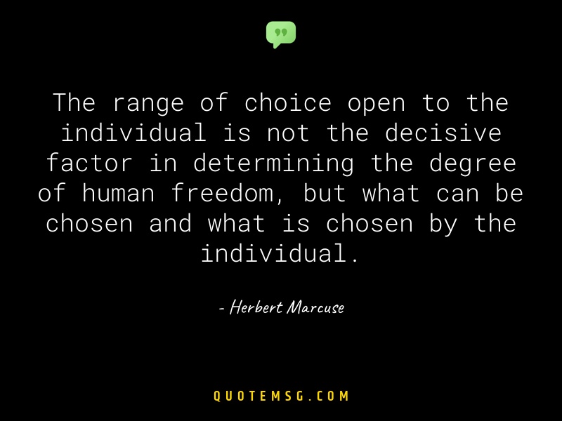 Image of Herbert Marcuse