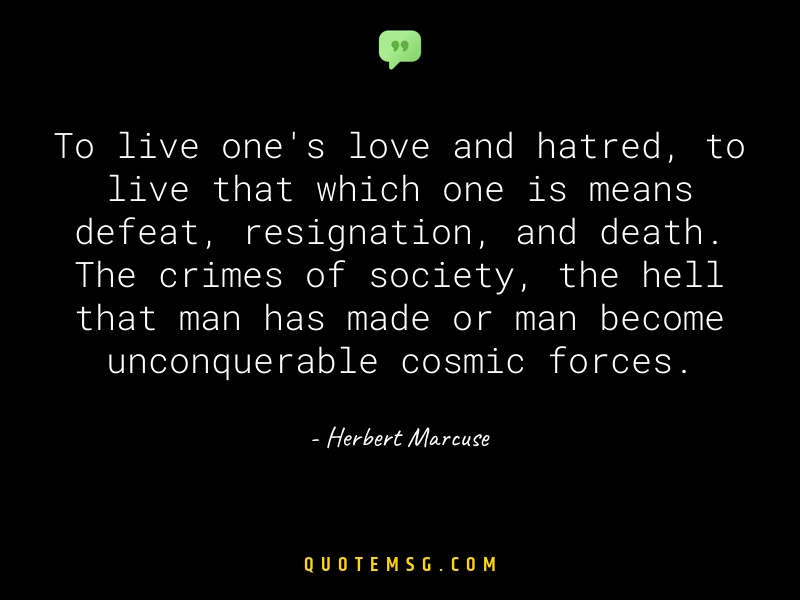 Image of Herbert Marcuse