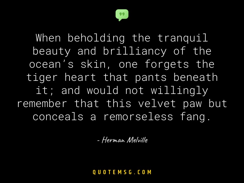 Image of Herman Melville