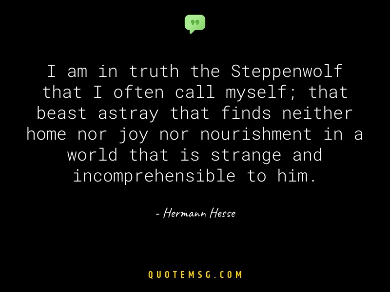 Image of Hermann Hesse