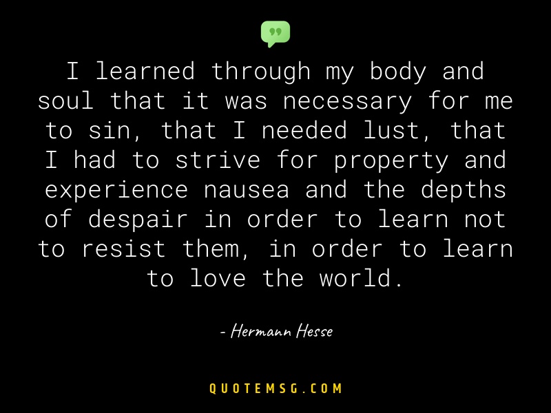 Image of Hermann Hesse