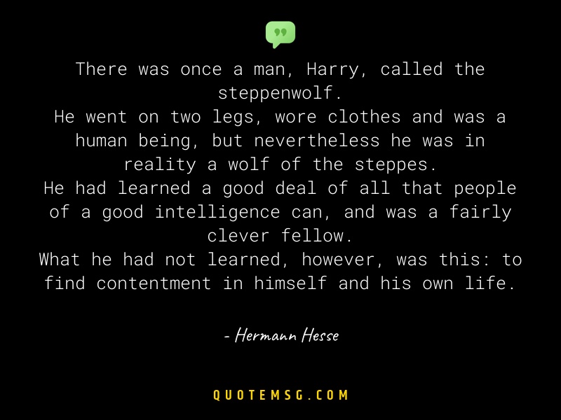 Image of Hermann Hesse