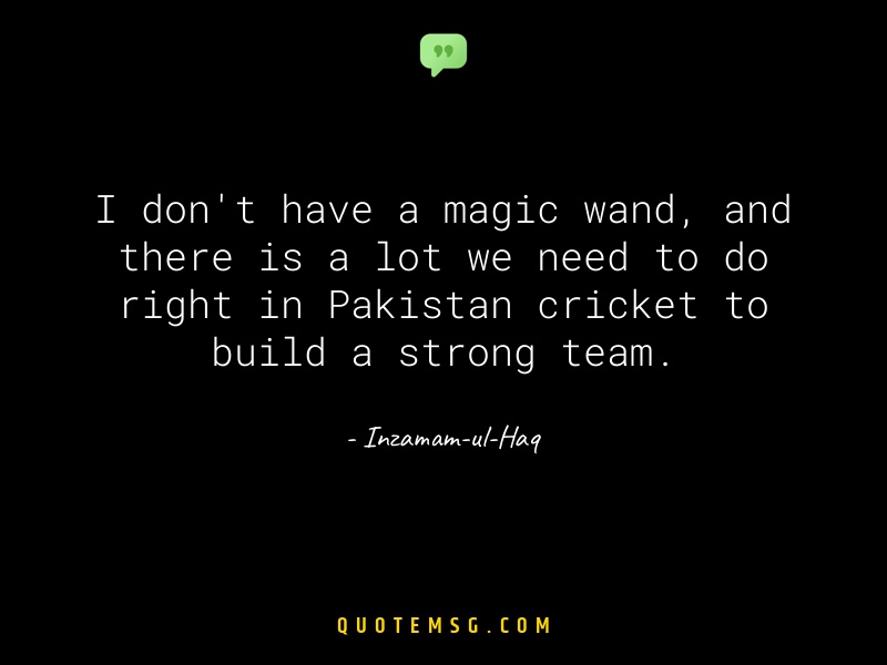 Image of Inzamam-ul-Haq