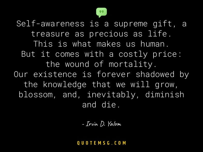 Image of Irvin D. Yalom