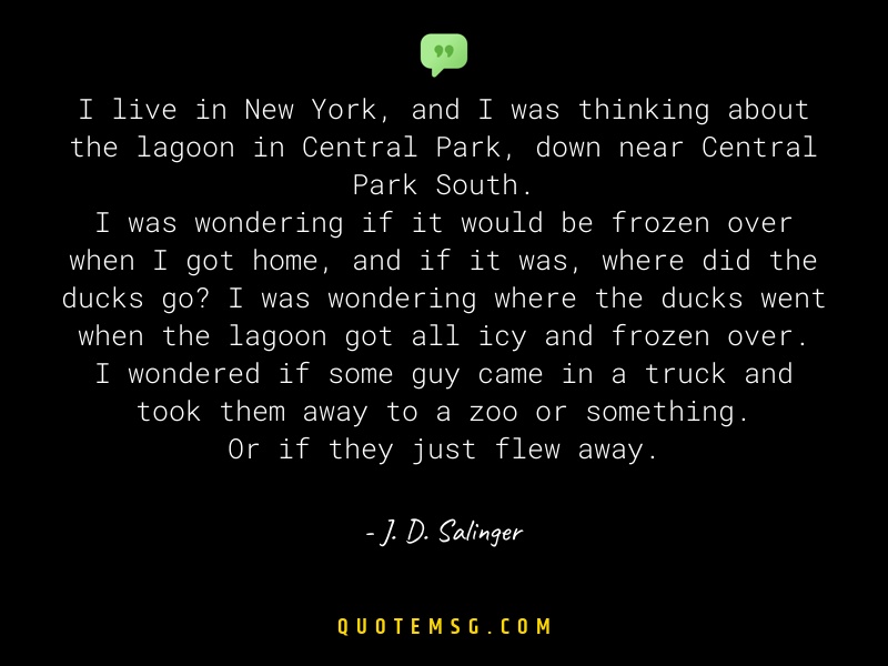 Image of J. D. Salinger