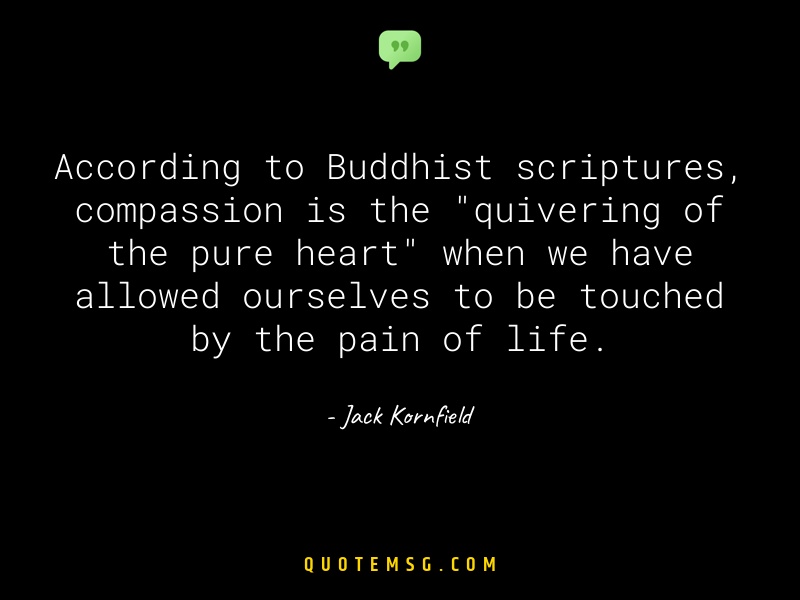 Image of Jack Kornfield