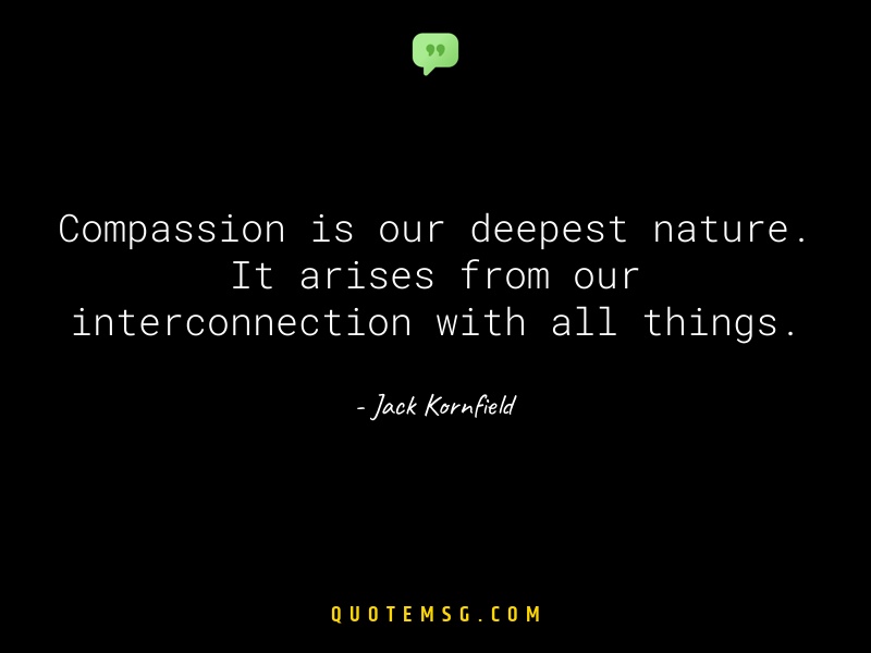 Image of Jack Kornfield