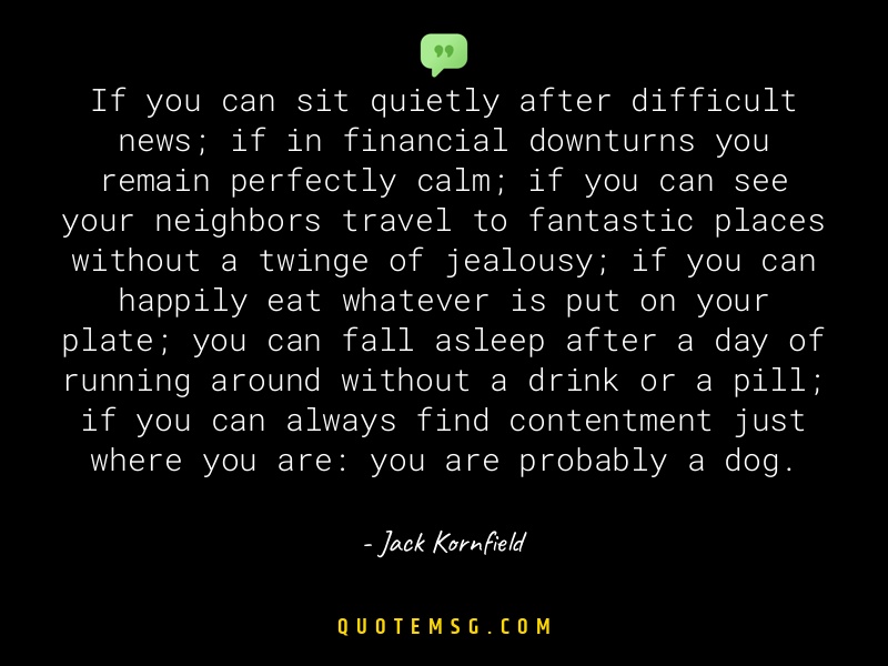 Image of Jack Kornfield