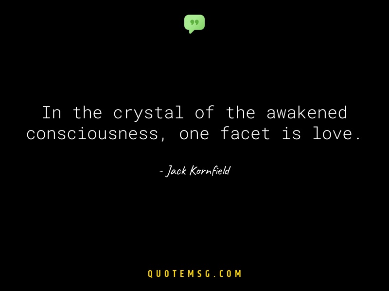 Image of Jack Kornfield