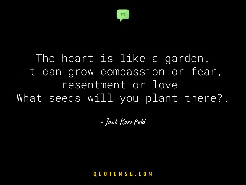 Image of Jack Kornfield