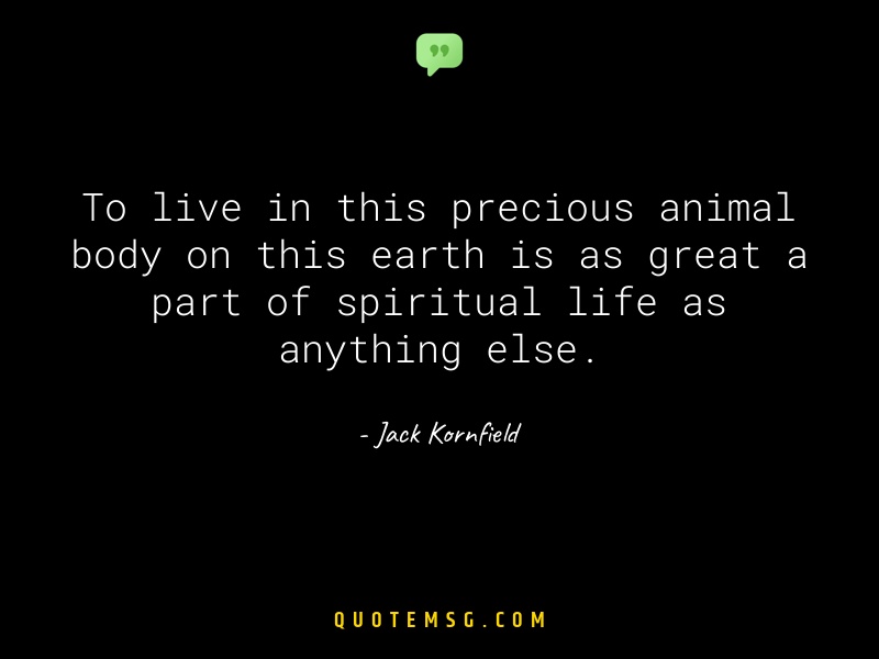 Image of Jack Kornfield