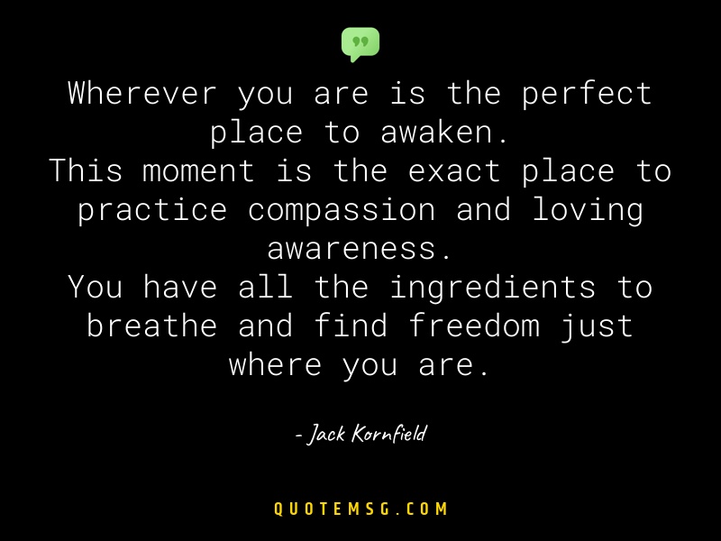 Image of Jack Kornfield