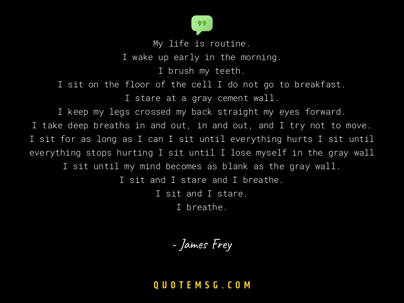 Image of James Frey