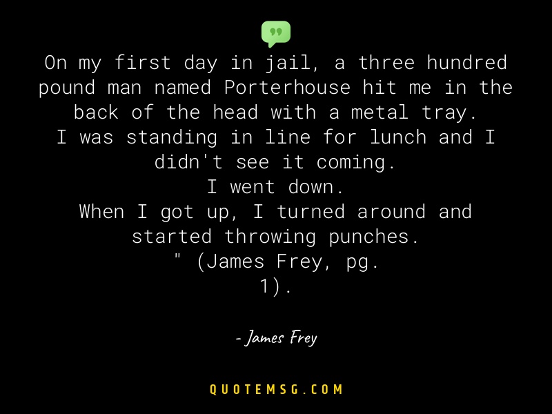 Image of James Frey