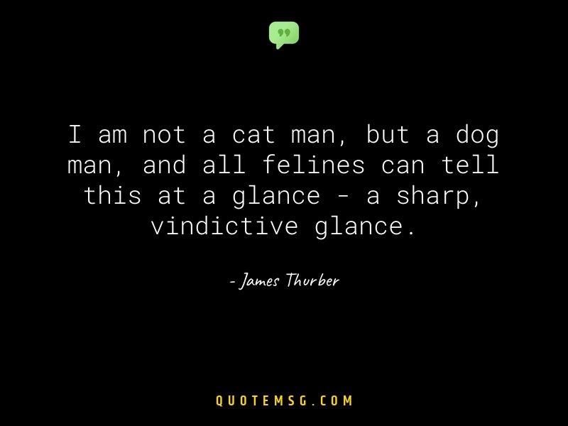 Image of James Thurber