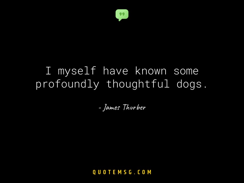 Image of James Thurber