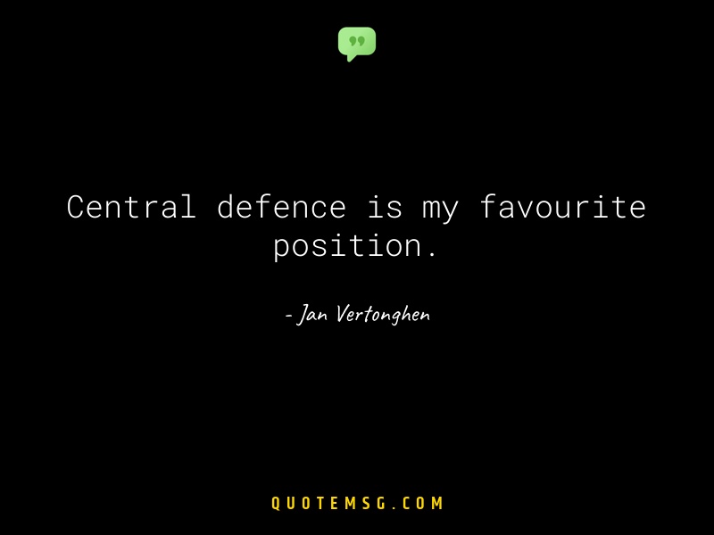 Image of Jan Vertonghen