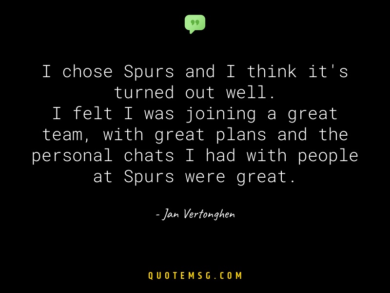 Image of Jan Vertonghen