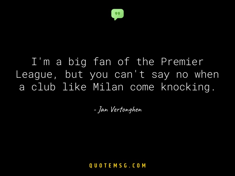 Image of Jan Vertonghen