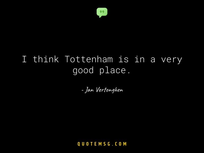 Image of Jan Vertonghen