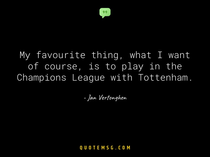 Image of Jan Vertonghen