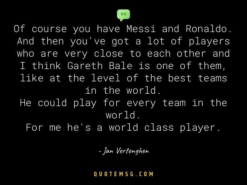 Image of Jan Vertonghen