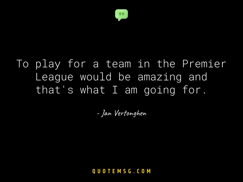 Image of Jan Vertonghen