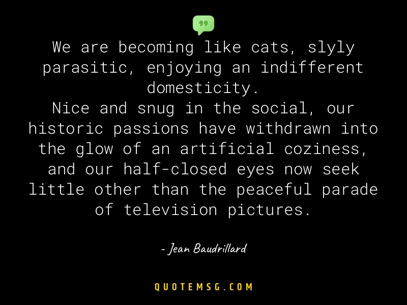 Image of Jean Baudrillard