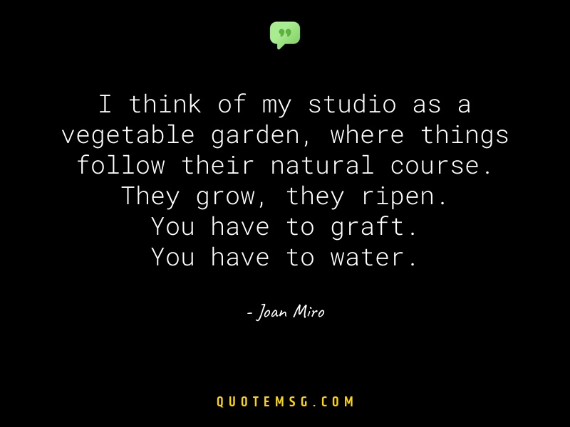 Image of Joan Miro