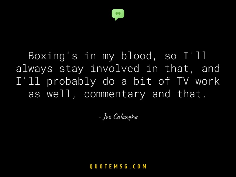 Image of Joe Calzaghe