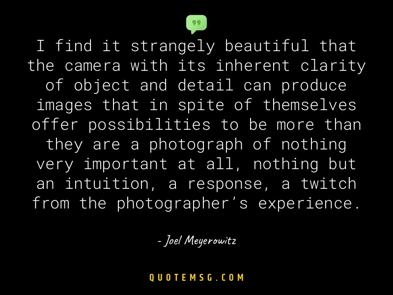 Image of Joel Meyerowitz