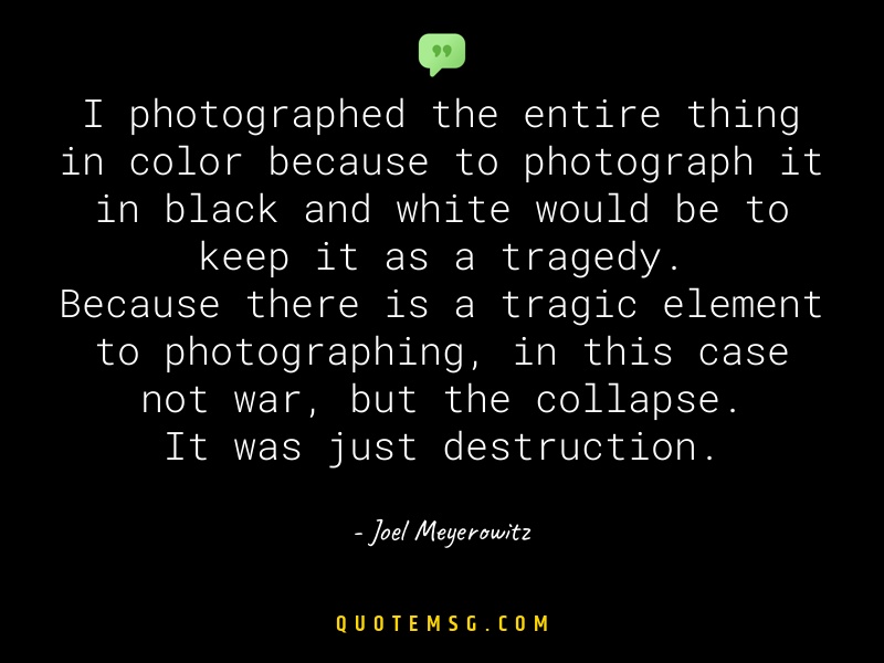 Image of Joel Meyerowitz