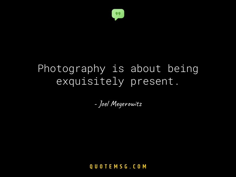 Image of Joel Meyerowitz