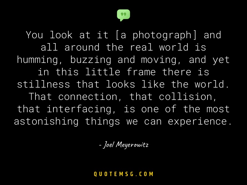 Image of Joel Meyerowitz