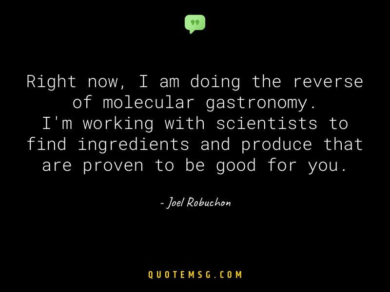 Image of Joel Robuchon