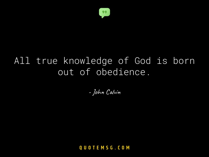 Image of John Calvin