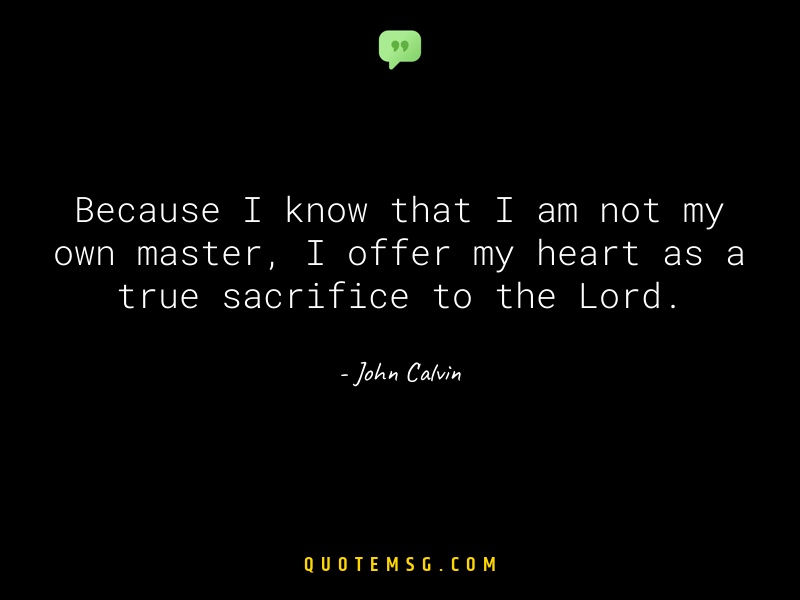 Image of John Calvin